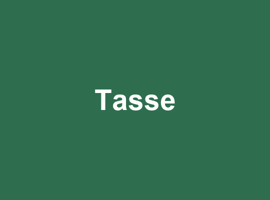 Keramiktasse in Tannengrün